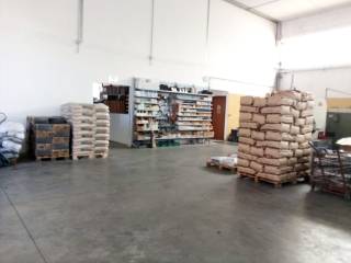 città sant'angelo capannoni in affitto