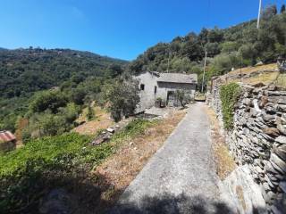 Foto - Vendita Rustico / Casale da ristrutturare, Camogli, Golfo Paradiso