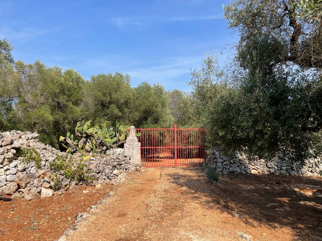 Terreno agricolo via turco camarda, ceglie messapica