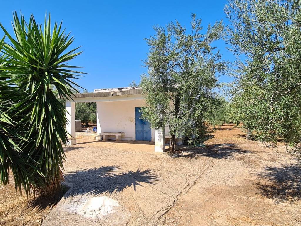 Terreno agricolo strada vicinale piscina spartucci, molfetta