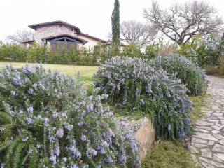 vialetto accesso giardino privato