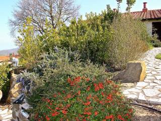 vialetto di accesso giardino privato