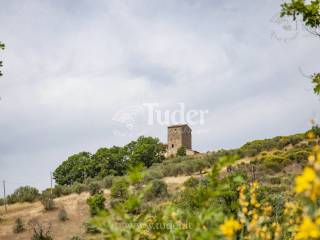 Dettagli