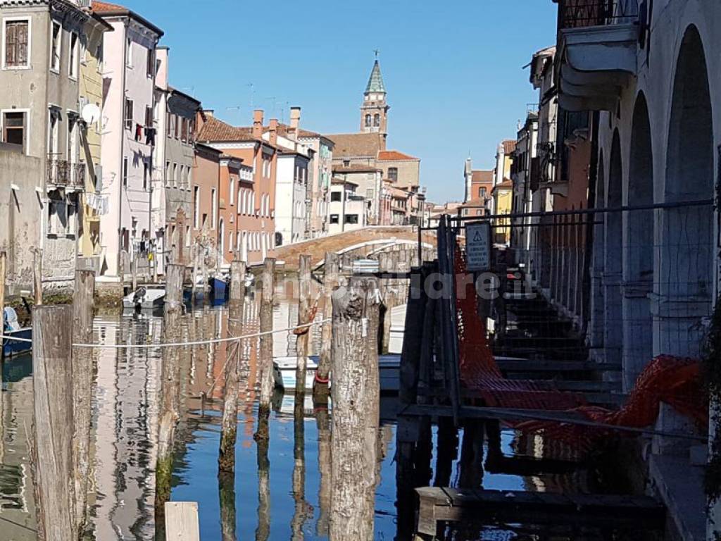 chioggia