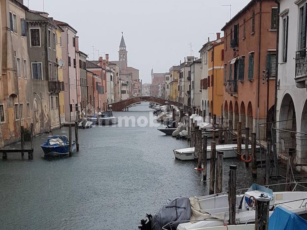 chioggia