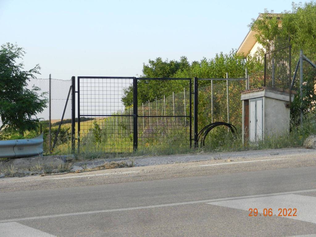 Terreno agricolo strada provinciale santa croce-stazione ururi, santa croce di magliano