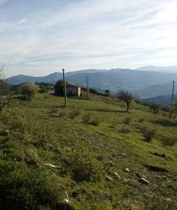 Terreno agricolo sp149, oriolo