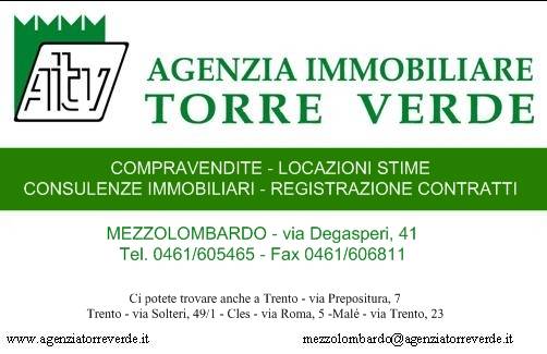 bozza spazio torre verde