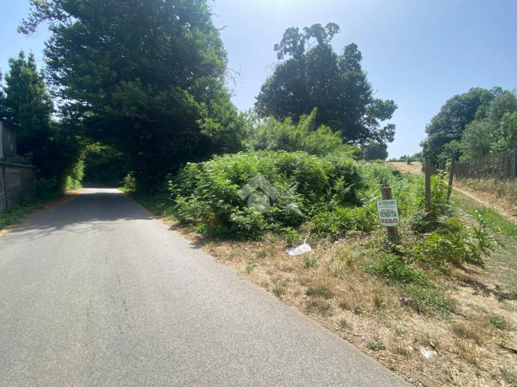 Terreno agricolo via dei visoni, san cesareo