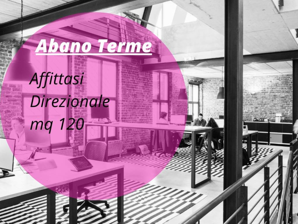 DIREZIONALE  UFFICIO AFFITTASI ABANO TERME