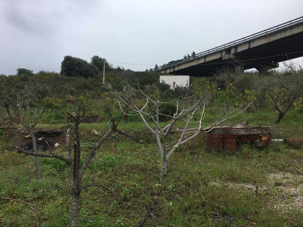 Terreno agricolo strada comunale vallone de spuches, centro, bagheria