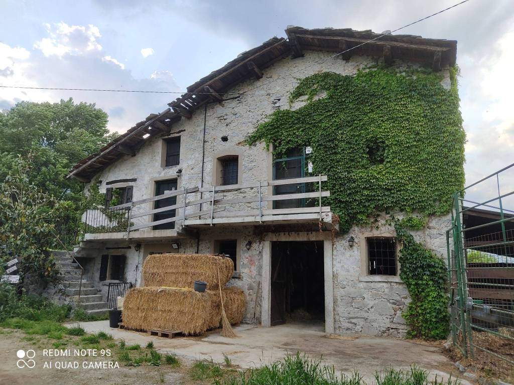 Terreno agricolo località zocchi, samolaco