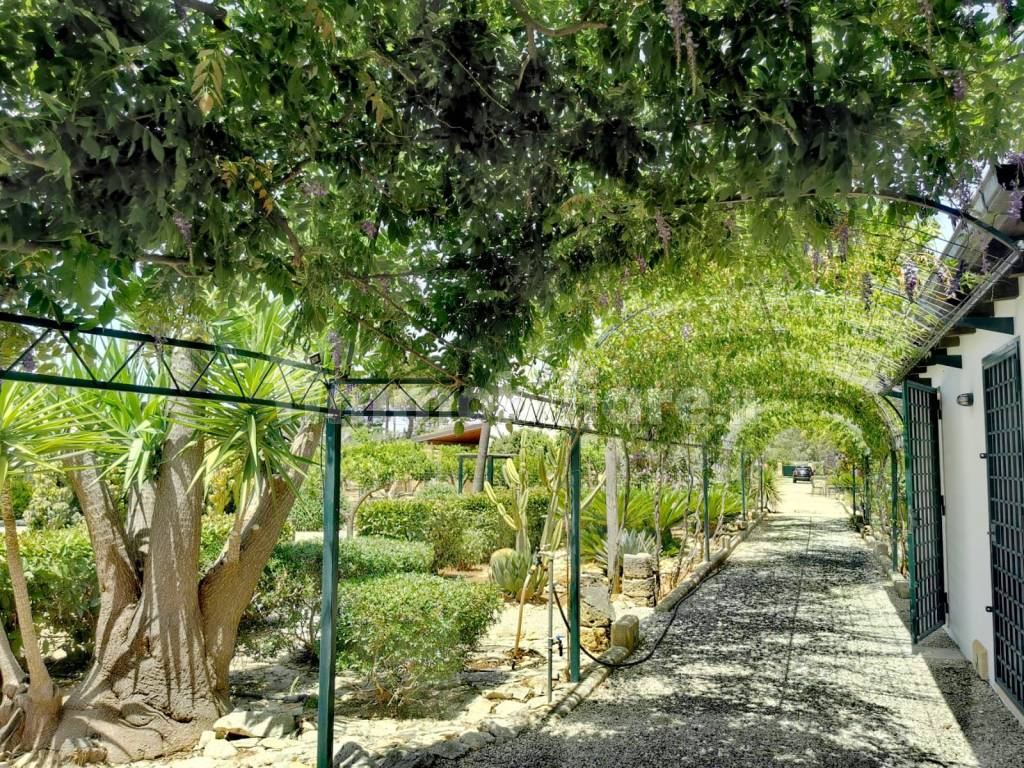 giardino