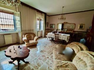 imm_33173-1024-.jpg