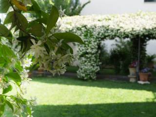 Vendesi apparamento con giardino sulle mura Lecce