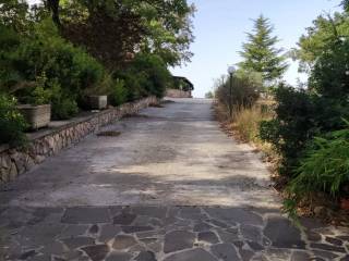 viale d'ingresso