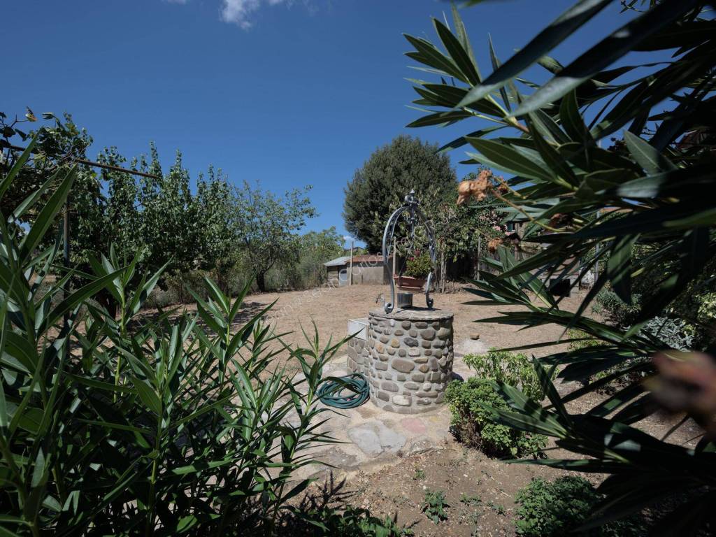 Giardino con pozzo * Garden with well
