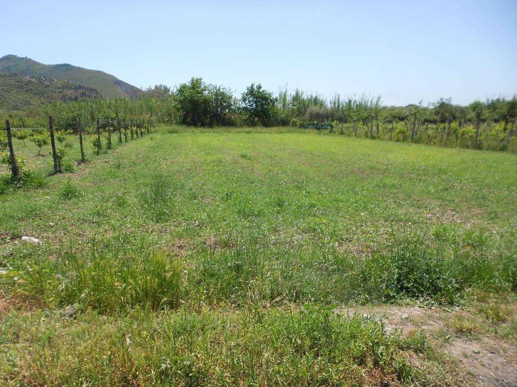 Terreno agricolo via incaldana, mondragone