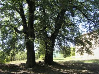 INGRESSO AL GIARDINO