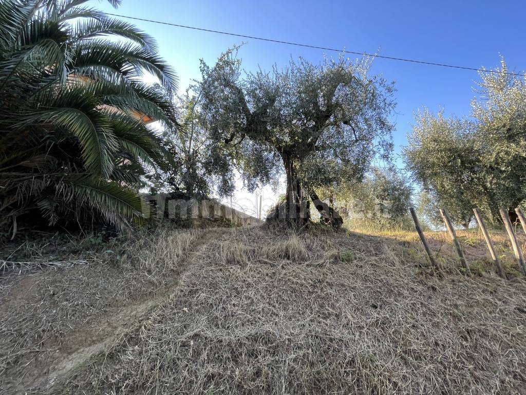 CASA COLONICA CASTIGLIONE DEL LAGO