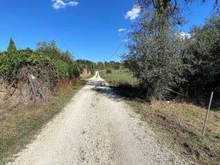 STRADA VICINALE