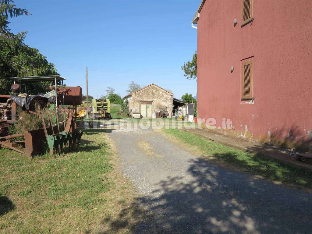 Gavorrano Grilli Castiglione della Pescaia maremma