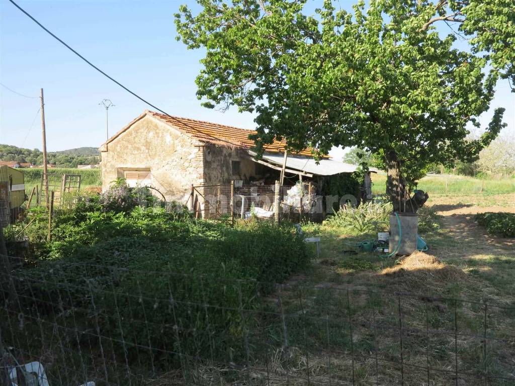 Gavorrano Grilli Castiglione della Pescaia maremma