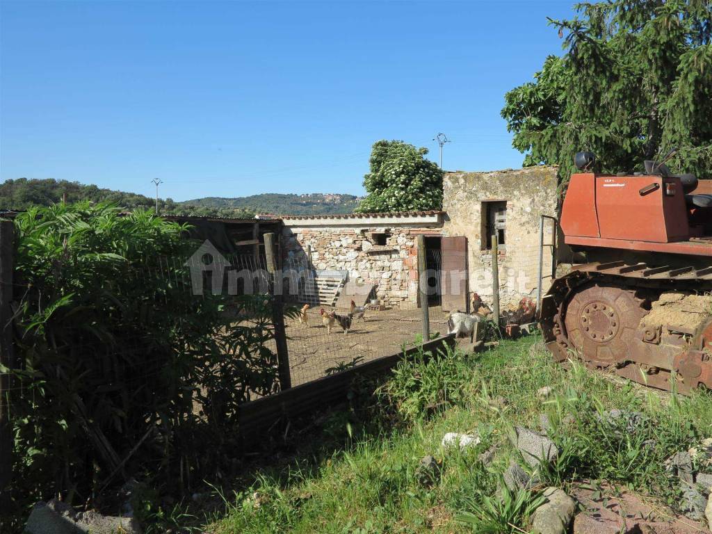 Gavorrano Grilli Castiglione della Pescaia maremma