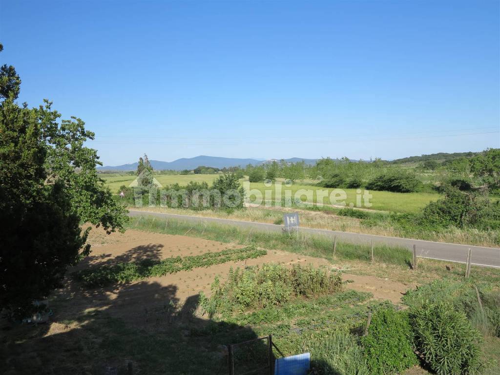 Gavorrano Grilli Castiglione della Pescaia maremma