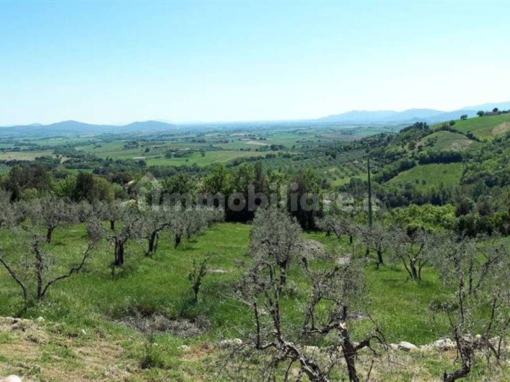 vista  roccatederighi Grosseto Toscana Maremma