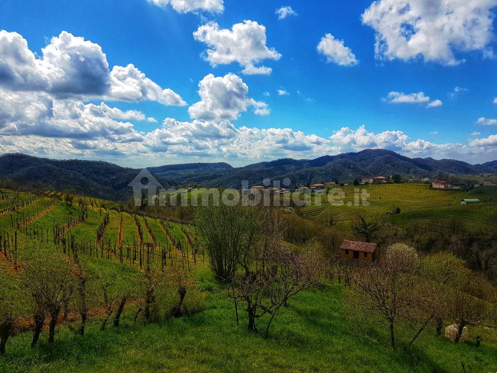 montello colline