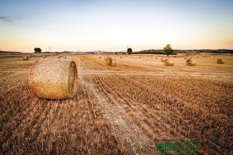 terreno agricolo (2)