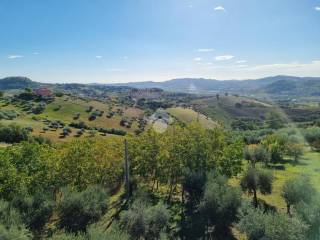 Terreno agricolo