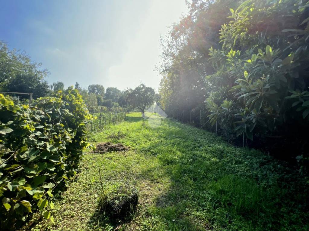 terreno agricolo