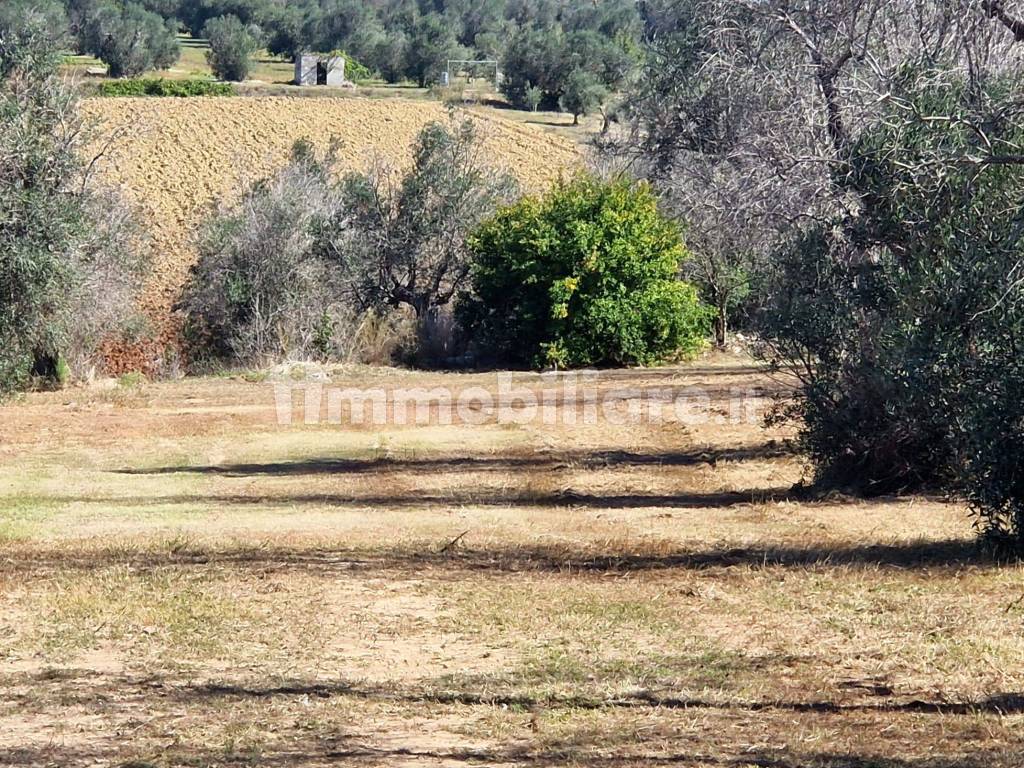 vista su terreno di proprietà