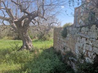 vista su terreno di proprietà