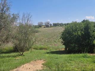 vista su terreno di proprietà