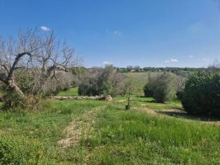 vista su terreno di proprietà