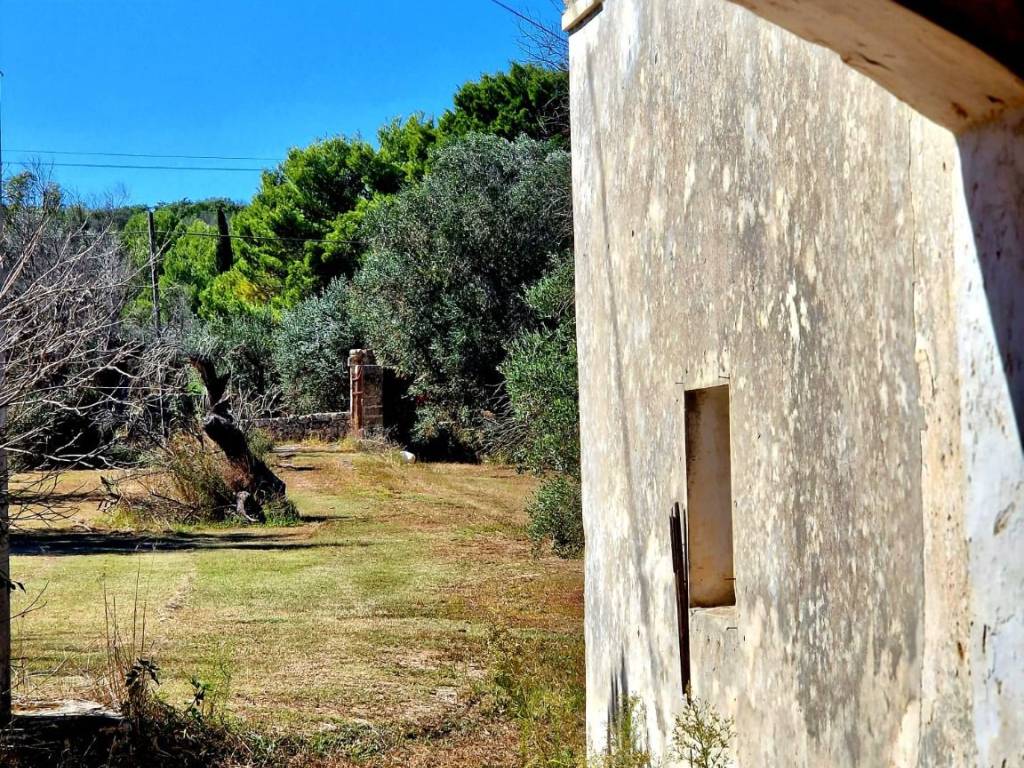 vista su terreno di proprietà