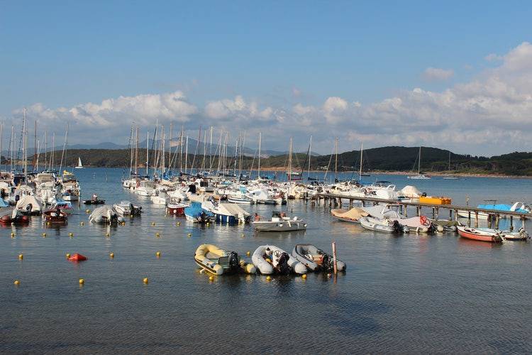 Baratti porticciolo