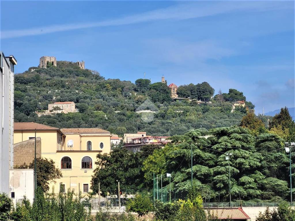 VISTA SUL CASTELLO E MONTEOLIVETO