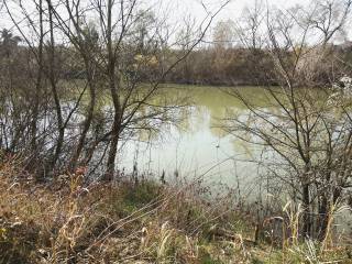 fiume Tevere