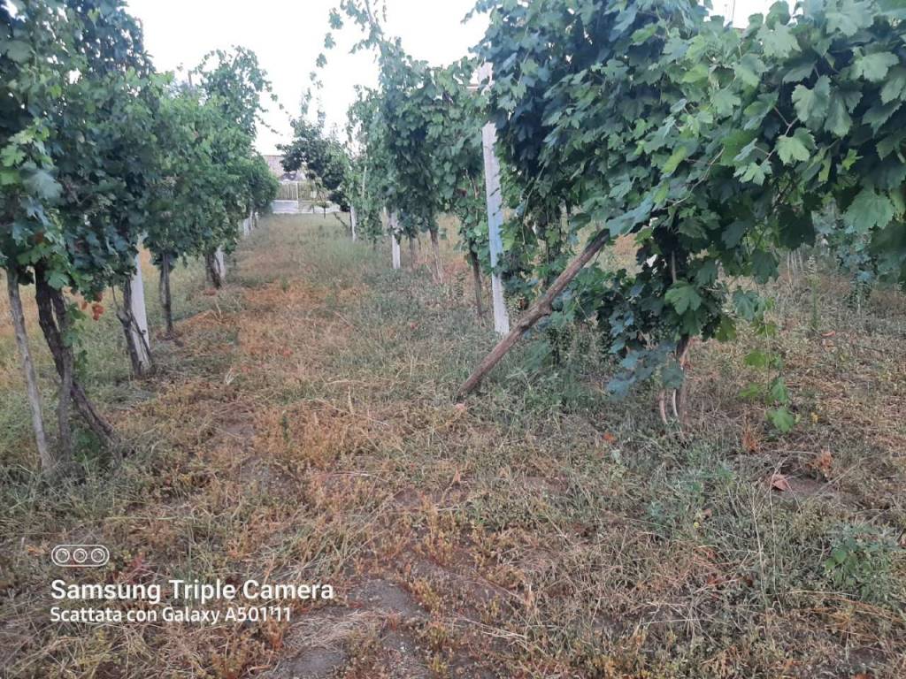 Terreno agricolo via aldo moro 2tratto, somma vesuviana