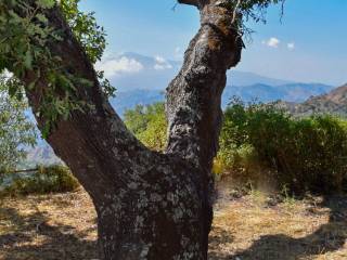 Vista Etna