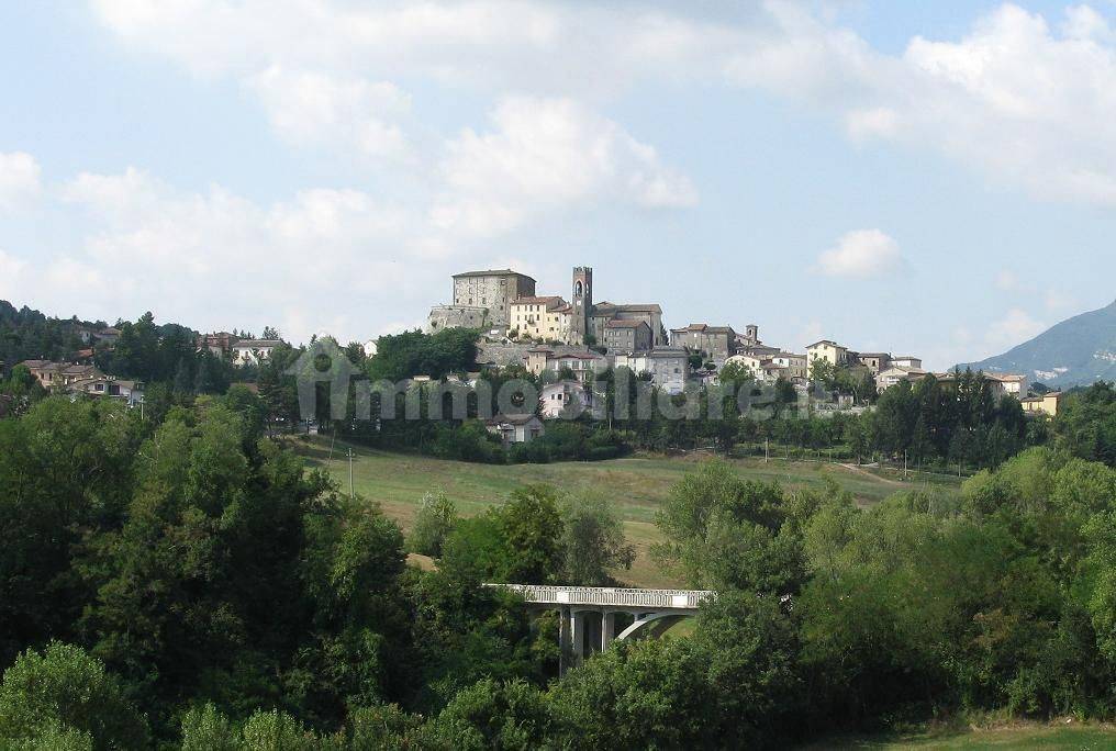 monte cerignone.jpg