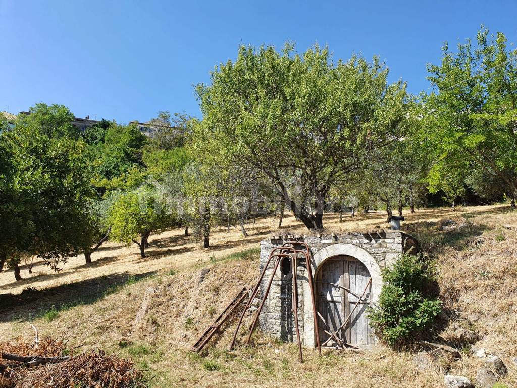 terreno con cantina esterna