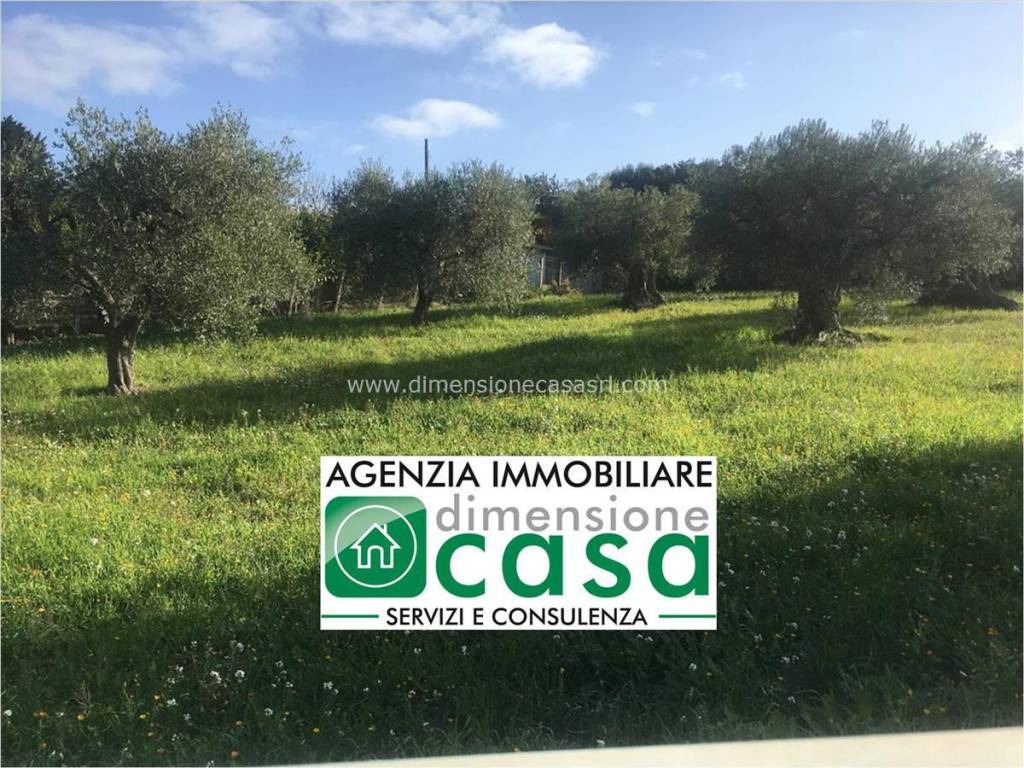 Terreno agricolo contrada cusatino, centro, caltanissetta