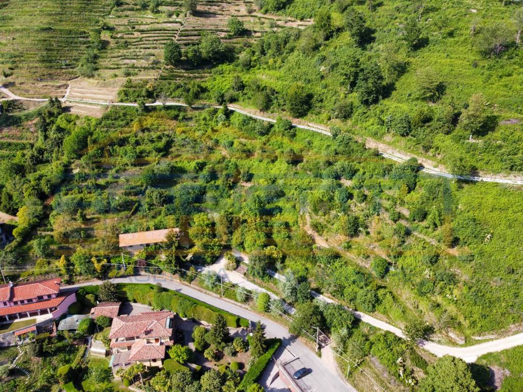 Terreno agricolo viale del palazzetto, palazzetto, montevecchia