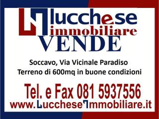 Lucchese Immobiliare