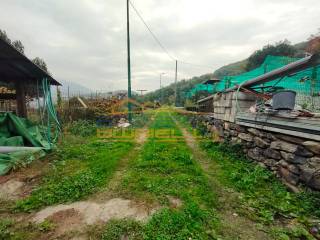 strada d'ingresso